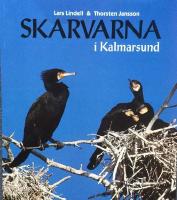 Skarvarna i Kalmarsund