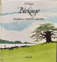 Blekinge : strandhugg i sydsvenska farvatten