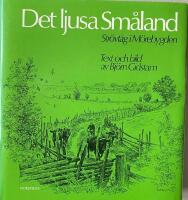 Det ljusa Sm&aring;land : Str&ouml;vt&aring;g i M&ouml;rebygden