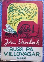 Buss p&aring; villov&auml;gar