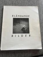 Bl&auml;ndande bilder : new trends and young photography in Sweden