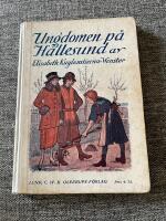 Ungdomen p&aring; H&auml;llesund 