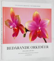 Bed&aring;rande orkid&eacute;er