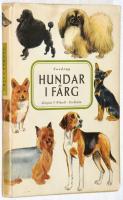 Hundar i f&auml;rg