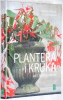 Plantera i kruka