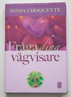 Fr&aring;ga dina v&auml;gvisare