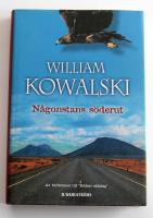 N&aring;gonstans s&ouml;derut