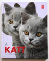 Att bli med katt