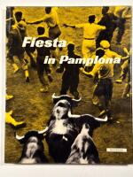 Fiesta in Pamplona