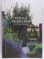 Stilla tr&auml;dg&aring;rd i stormigt landskap