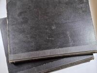 Illustreradt familjeblad 1895-1896