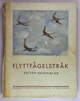 Flyttf&aring;gelstr&aring;k 