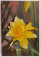 Narcisser : folkk&auml;ra l&ouml;kar