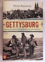 Gettysburg : Svenskarna som stred i amerikanska inb&ouml;rdeskriget