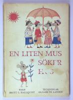 En liten mus s&ouml;ker hus
