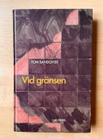Vid gr&auml;nsen : en ess&auml; kring det postmoderna avantgardet i 10-talets New York