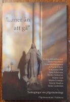 ......mer &auml;n att g&aring;. Tankeg&aring;ngar om pilgrimsteologi