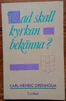  Vad skall kyrkan bek&auml;nna? Fr&aring;gor till ett r&aring;dslag om kyrkans identitet