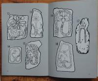 Svenska runor vittnar : svenska runstenars vittnesb&ouml;rd om landets &auml;ldsta missionshistoria