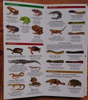 Australian Wildlife. An introduction to familiar species