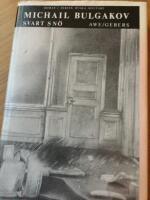 Svart sn&ouml; : en teaterroman