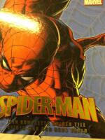 Spider-man : den kompletta guiden till Spider-man och hans v&auml;rld