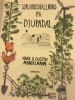 Sj&auml;lvhush&aring;llning p&aring; Djupadal