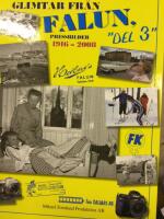Glimtar fr&aring;n Falun : pressbilder 1916-2008