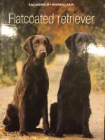 Flatcoated retriever