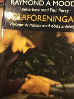 &Aring;terf&ouml;reningar. Visioner av m&ouml;ten med d&ouml;da anh&ouml;riga