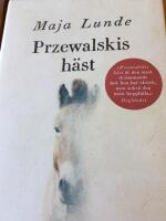 Przewalskis h&auml;st