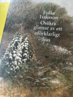 Os&auml;kra glimtar av ett of&ouml;rklarligt ljus