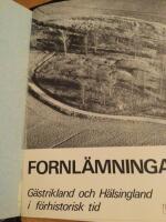 Fornl&auml;mningar i G&auml;strikland och H&auml;lsingland Del 1 F&ouml;rhistorisk tid