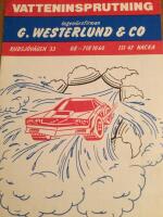 Vatteninsprutning- Injetronic. (I bilmotorn)