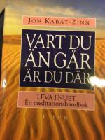 Vart du &auml;n g&aring;r &auml;r du d&auml;r. Leva i nuet. En meditationshandbok