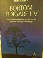 Bortom tidigare liv - vad parallella verkligheter kan l&auml;ra oss om relationer, l&auml;kning och f&ouml;r&auml;ndring