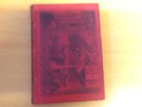 Stockholms-mysterier ll: Storm och Stiltje.Daguerre-typer ur storstadv&auml;rlden. Talrika illustrationer. Verklighetsskildringar ur nutida Stockholmslif