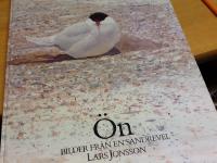 &Ouml;n. Bilder fr&aring;n en sandrevel