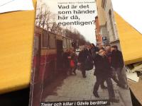 Vad &auml;r det som h&auml;nder h&auml;r d&aring;, egentligen? Tjejer och killar ber&auml;ttar.