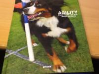 Agility : fr&aring;n start till m&aring;l