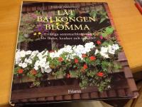 L&aring;t balkongen blomma : ett&aring;riga sommarblommor f&ouml;r l&aring;dor, krukor och rabatter