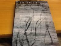 Bildstorm 33 konstess&auml;er