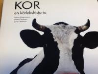 Kor : en k&auml;rlekshistoria