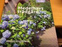 Medelhavstr&auml;dg&aring;rd