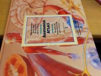 Anatomisk atlas
