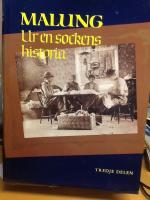 Malung. Ur en sockens socken. Tredje delen. Malungs skinnade. Ett m&aring;nghundra&aring;rigt hantverk, dess ut&ouml;vning och m&ouml;te med den moderna tiden