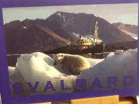 Svalbard och m/s Origo i Norra ishavet : chiefens egna bilder