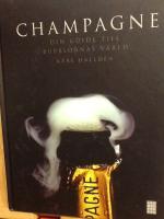 Champagne : din guide till bubblornas v&auml;rld