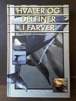 Hvaler og delfiner i farver