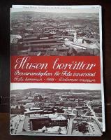 Husen ber&auml;ttar: Bevarandeplan f&ouml;r Falu innerstad